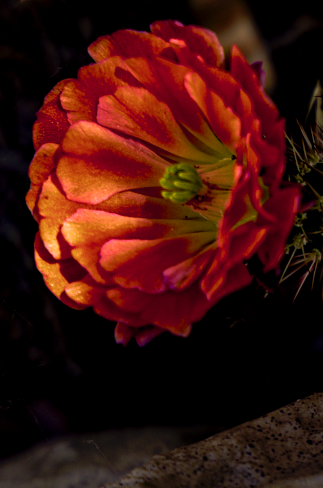 Carette Az 2023 Jhe Imgc3566.Png Photography Art | James H Egbert's Silver Branch Studios