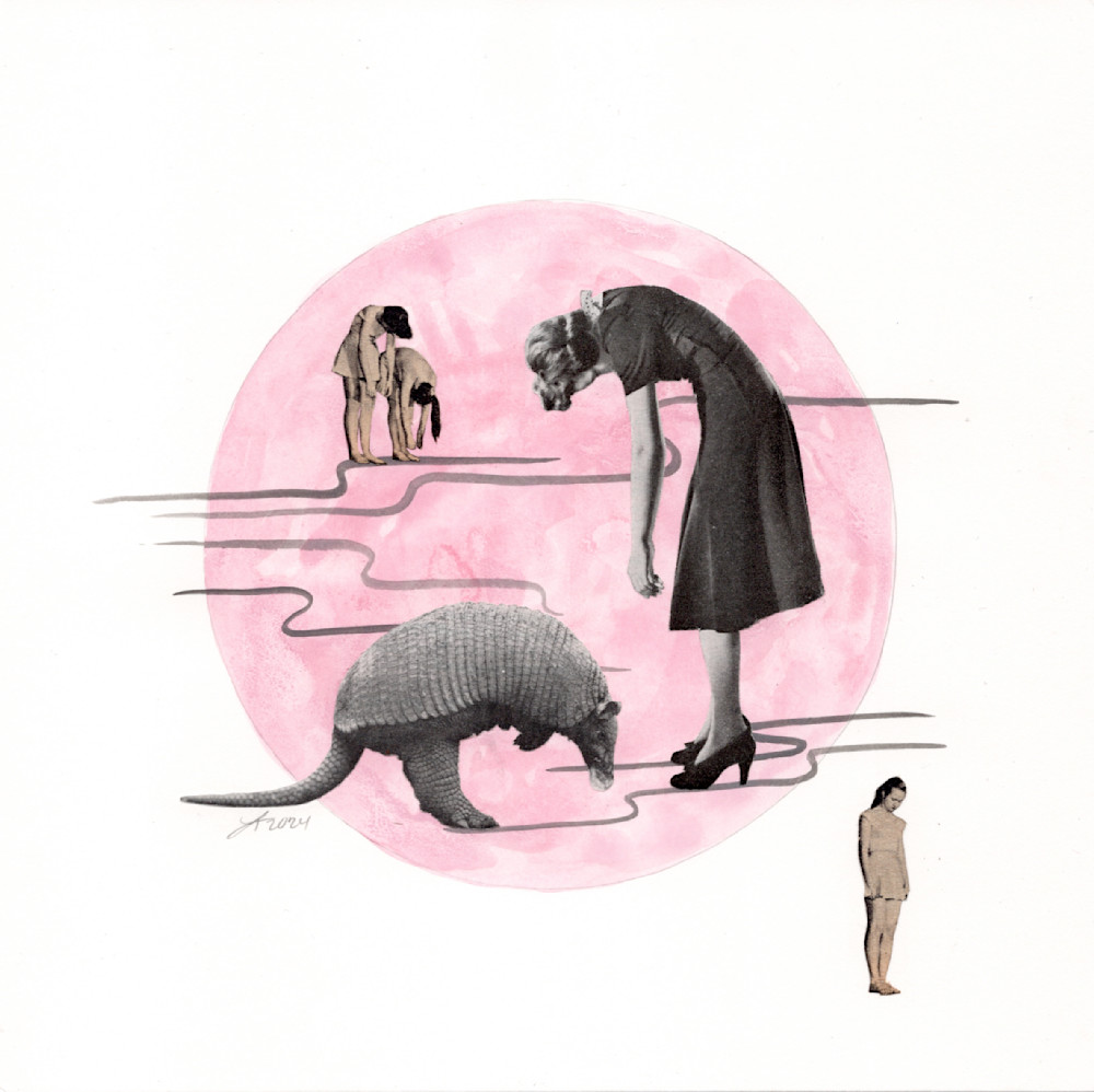 Armadillo Art | Real Creative Studio