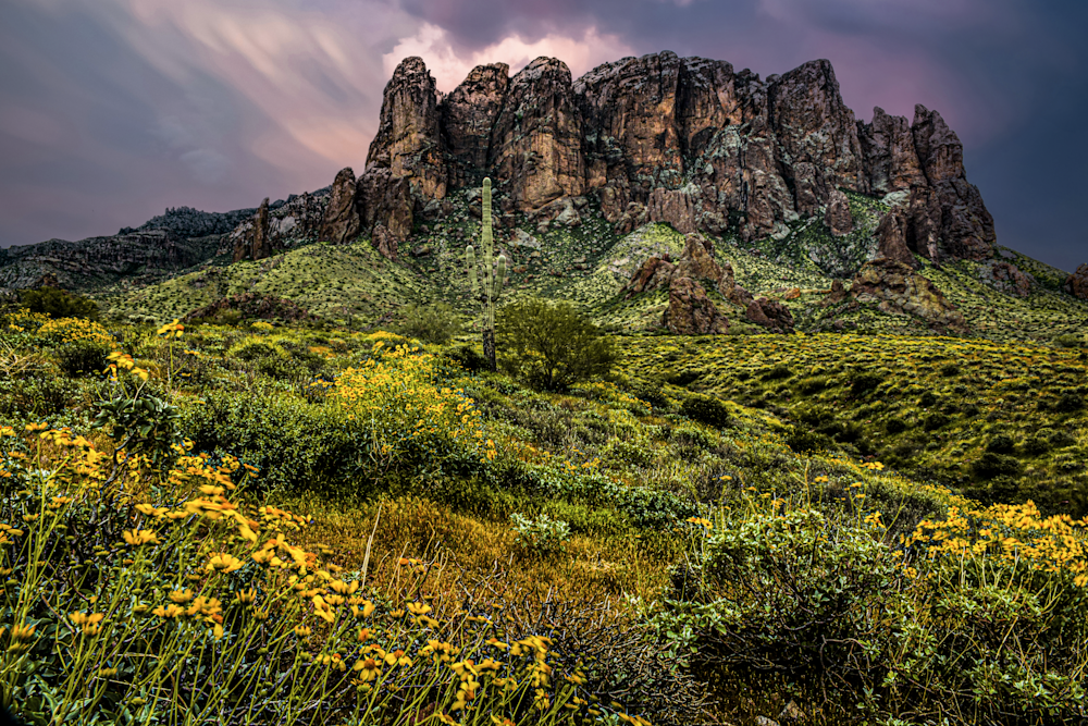 Superstition Dawn Blooms Jhe0209.Png Photography Art | James H Egbert's Silver Branch Studios