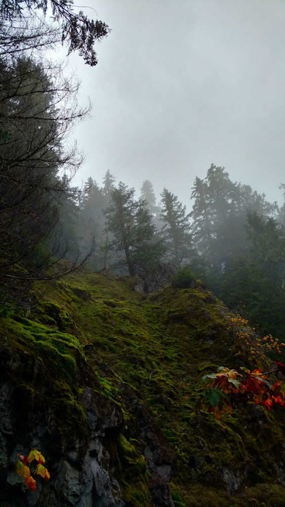 Misty Fall   Opal Creek Wilderness Photography Art | InYourBackyard