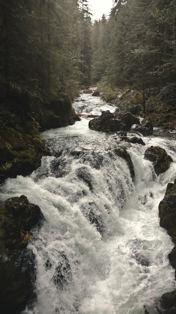Opal Creek   Opal Creek Wilderness Photography Art | InYourBackyard