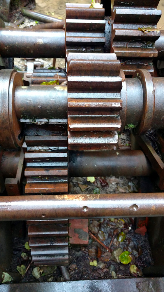 Gears   Jawbone Flats Photography Art | InYourBackyard