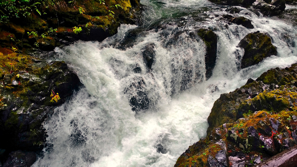 Opal Creek At Dusk Photography Art | InYourBackyard