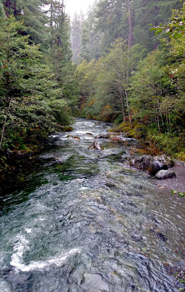 Little North Santiam River Photography Art | InYourBackyard