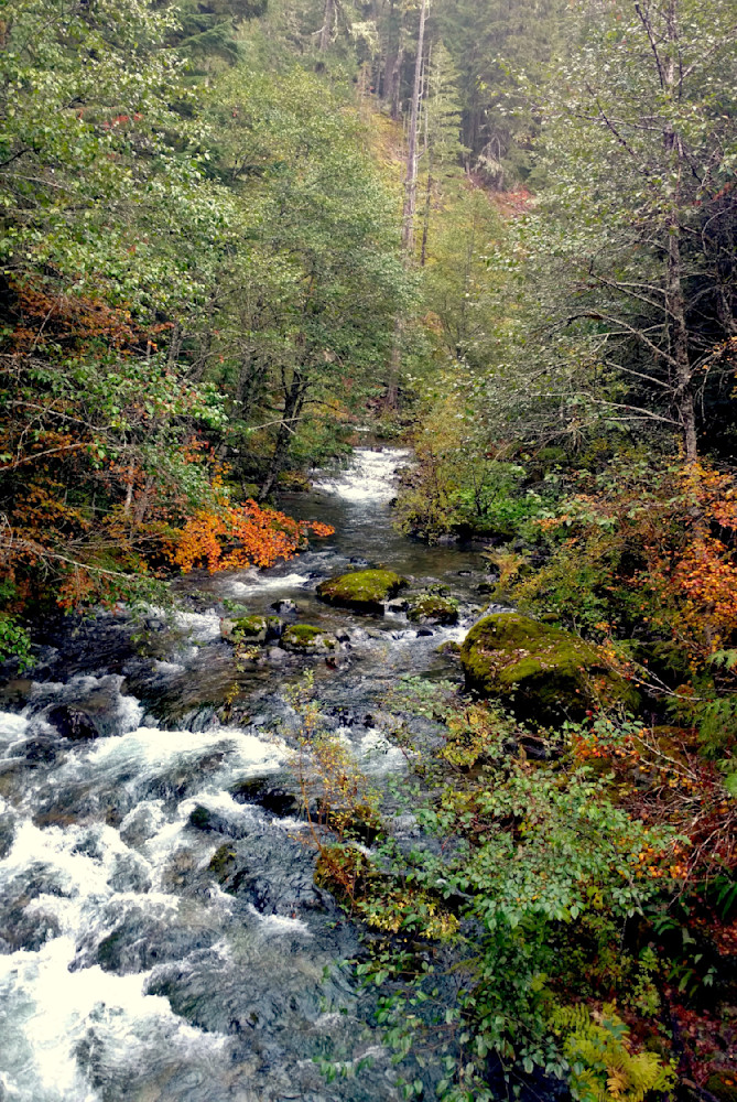 Little North Santiam River   Opal Creek Photography Art | InYourBackyard