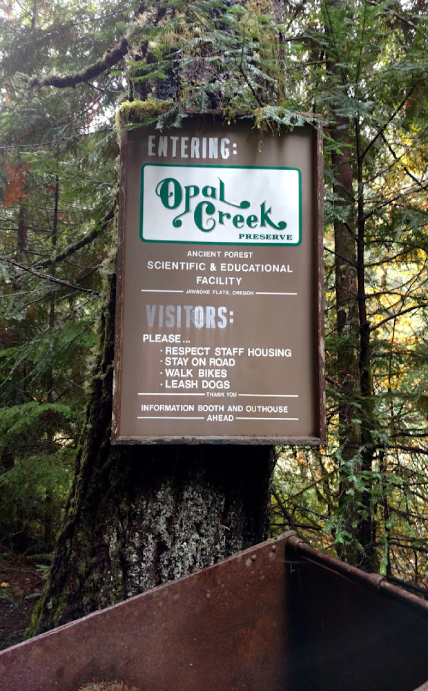Opal Creek Wilderness Photography Art | InYourBackyard