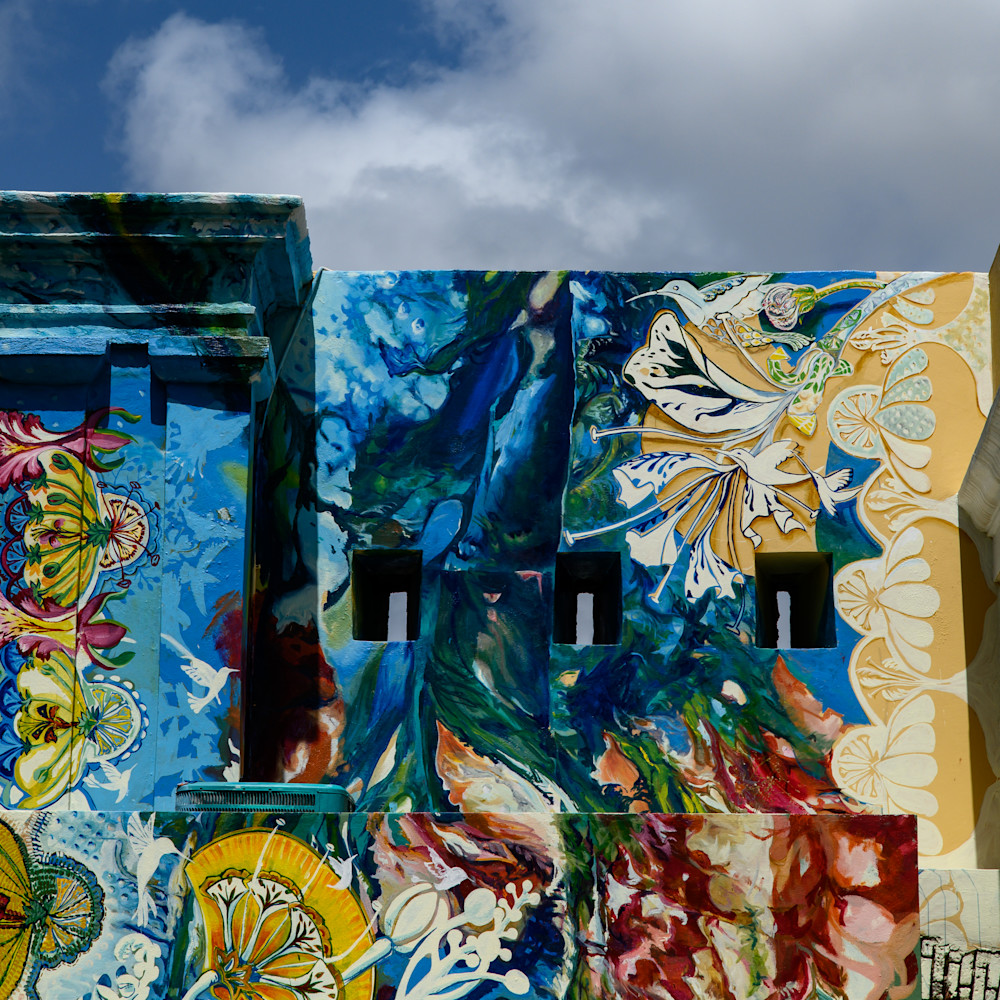 Floral Flight Photography Art | Steve Rizzi Photography