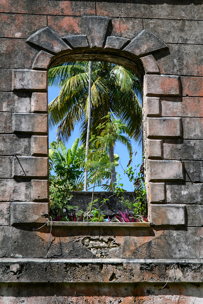 Tropical Frame Photography Art | Steve Rizzi Photography