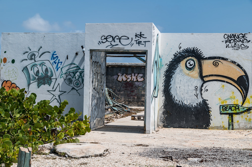 Ruins And Beak Photography Art | Steve Rizzi Photography