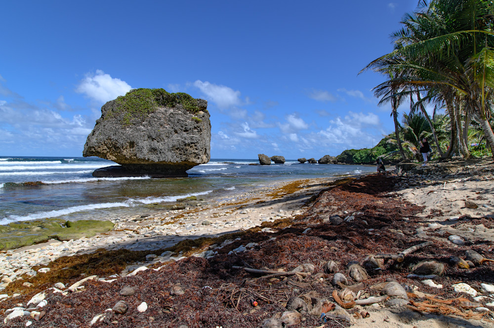 Bathsheba Beach Photography Art | Steve Rizzi Photography