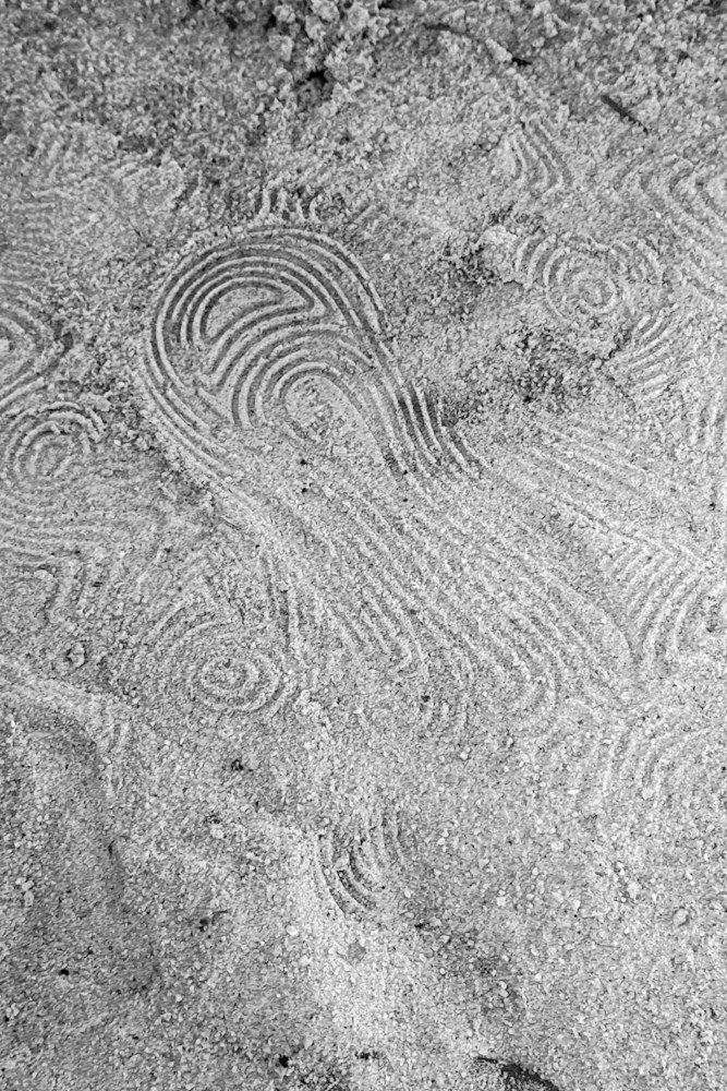 Curved Impressions Photography Art | Steve Rizzi Photography