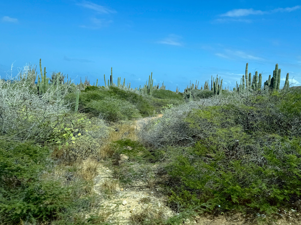 Desert Passage Photography Art | Steve Rizzi Photography