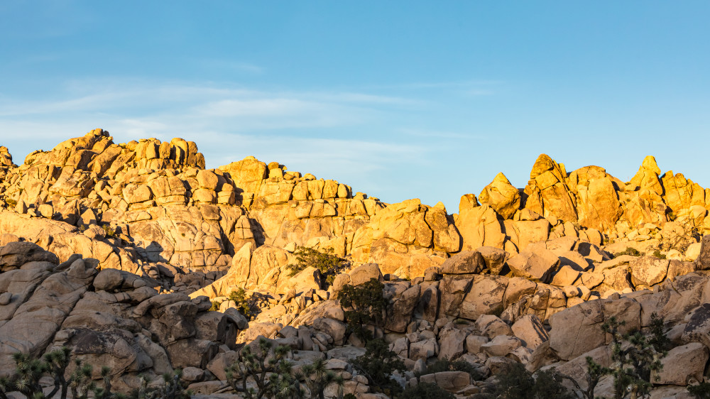 Rock formations in Joshua Tree National Park near sunset.
