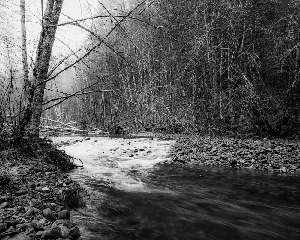Where the Current Turns, Wind River, Washington, 2026