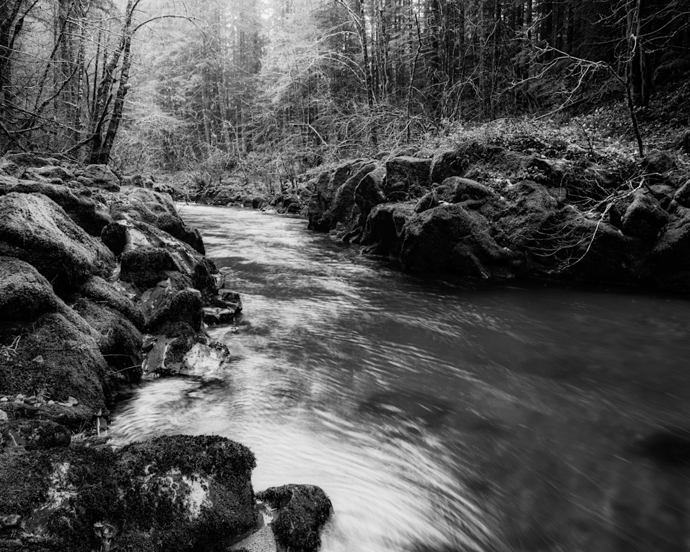 Between Stone and Forest, Wind River, Washington, 2026