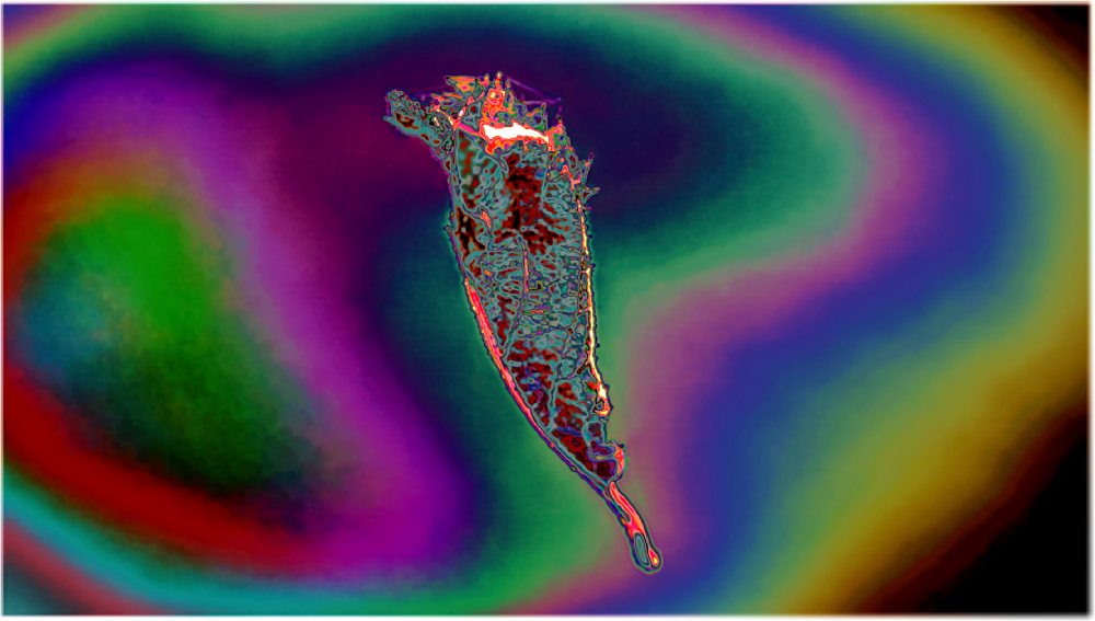 Suspended in Air Alt – fine art nature photography