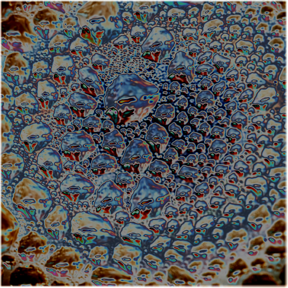 Synthetic Reef Alt – fine art nature photography