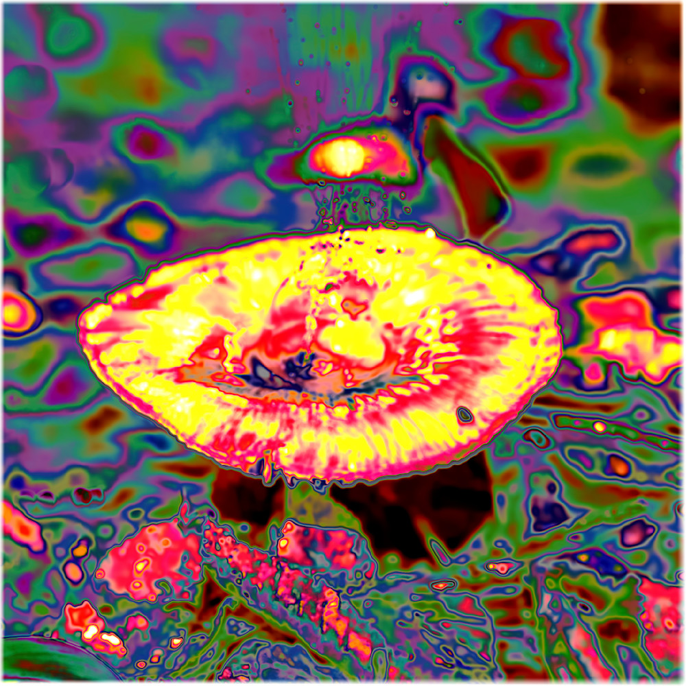 Timing Alt.jpg – fine art nature photography