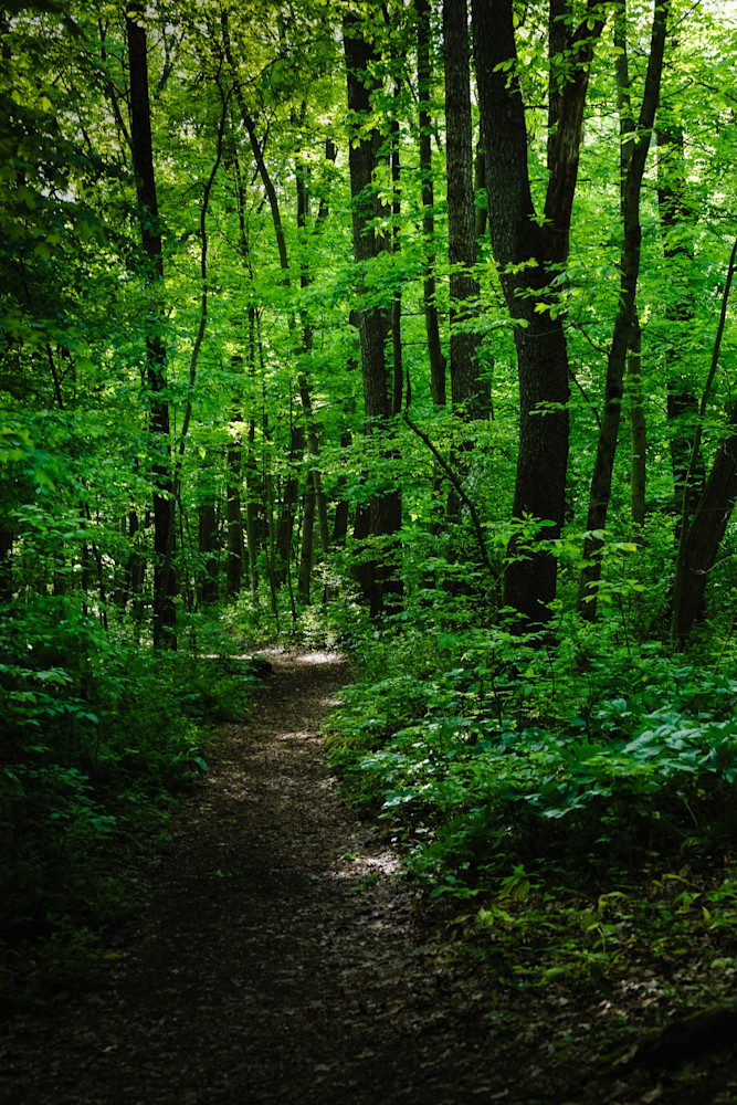 Pn0 A5002.Jpg Photography Art | Kevin Morris Photography USA