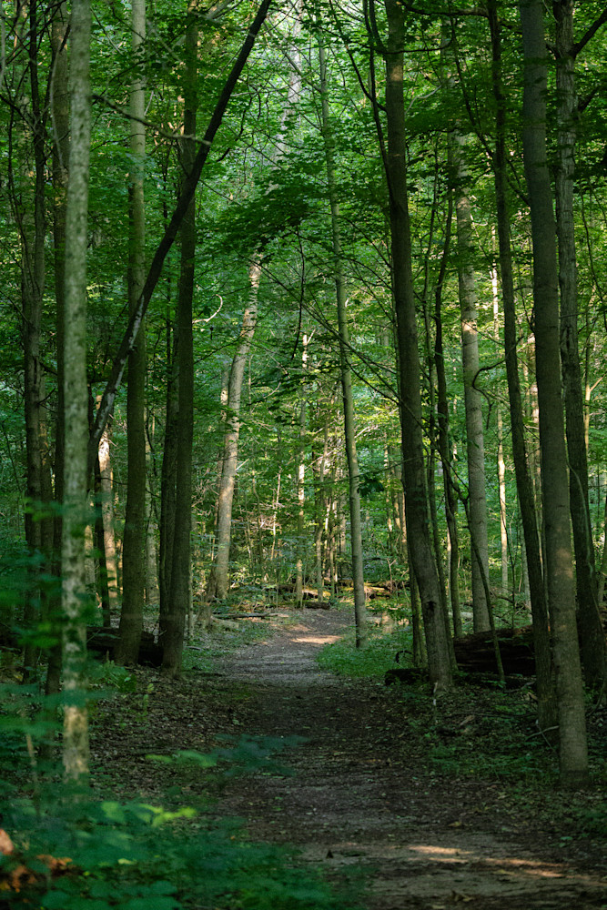 Pn0 A7819.Jpg Photography Art | Kevin Morris Photography USA