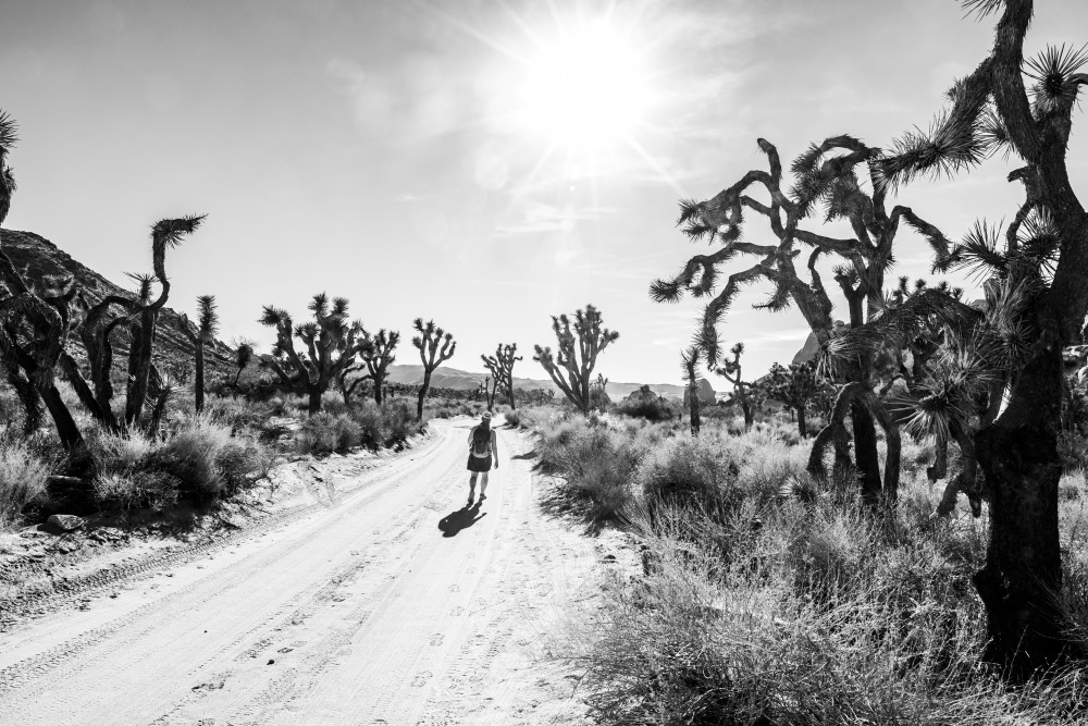 Flaring Sun Beating Down (B&W) Art | Tim McGuire Fine Art