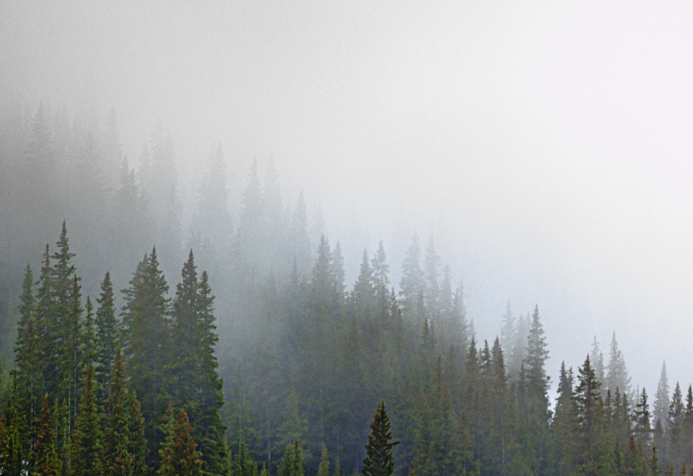 The Lift 06062025 Jhe Q1 A0956.Png Photography Art | James H Egbert's Silver Branch Studios