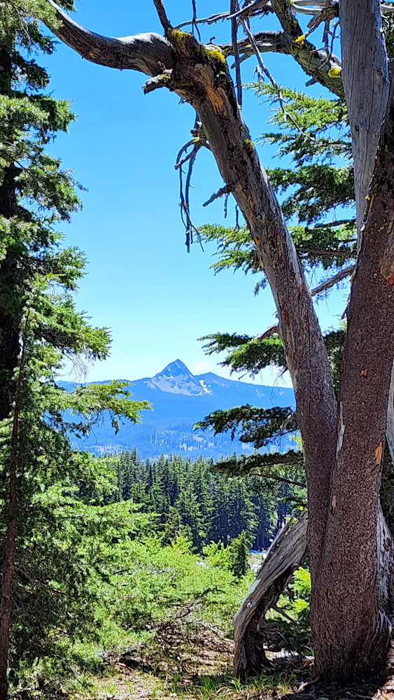 Mount Thielsen From Crater Lake Photography Art | InYourBackyard