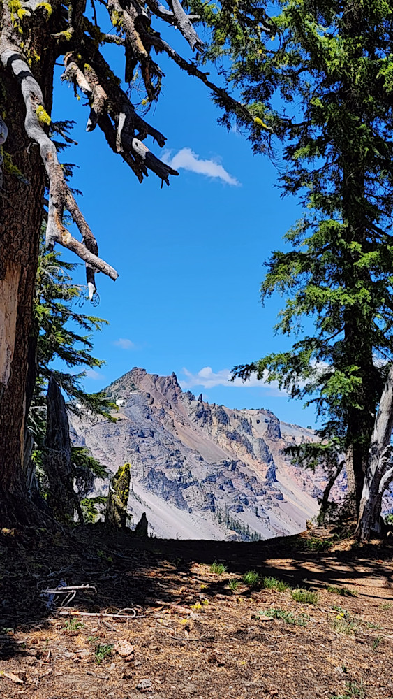 Rim Through The Trees Photography Art | InYourBackyard