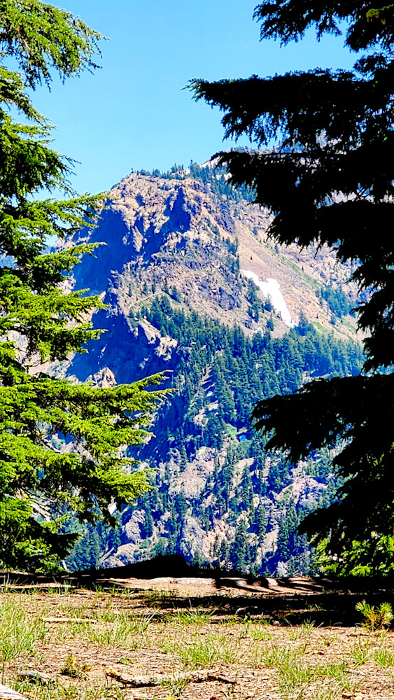 Through The Trees   Crater Lake Photography Art | InYourBackyard