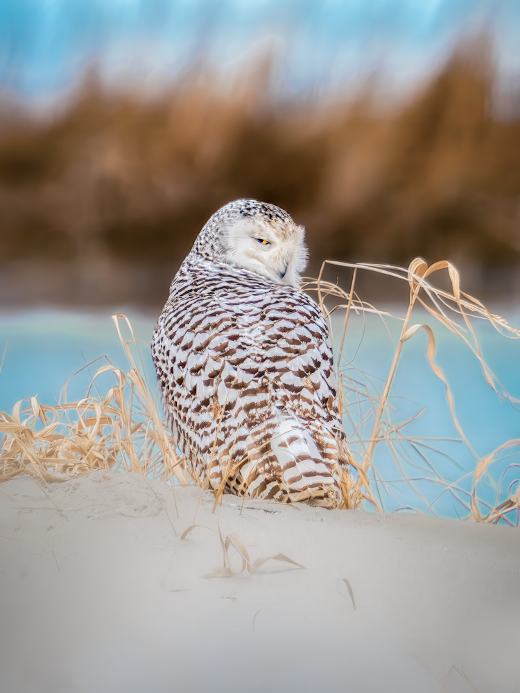 Coastal Glance Photography Art | Spielman Photography