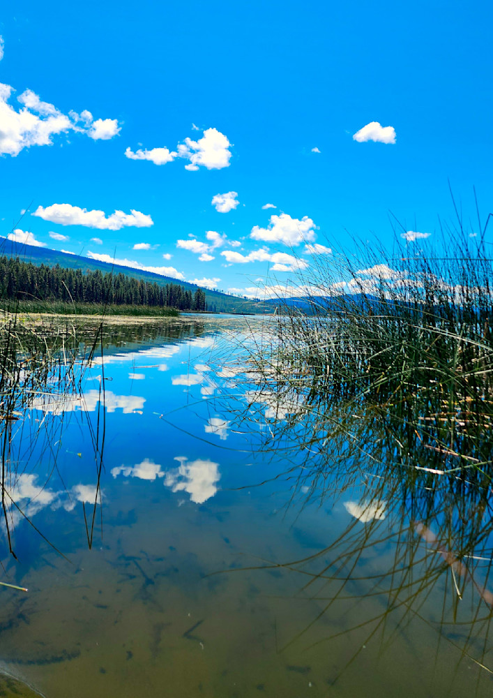 Davis Lake Skies Photography Art | InYourBackyard