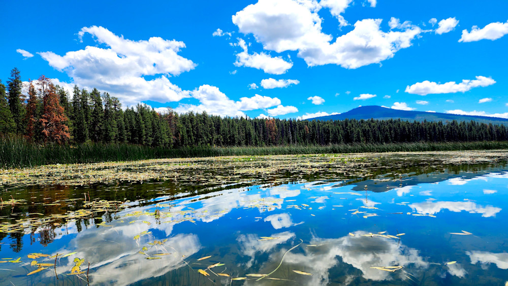 Reflections   Davis Lake Photography Art | InYourBackyard