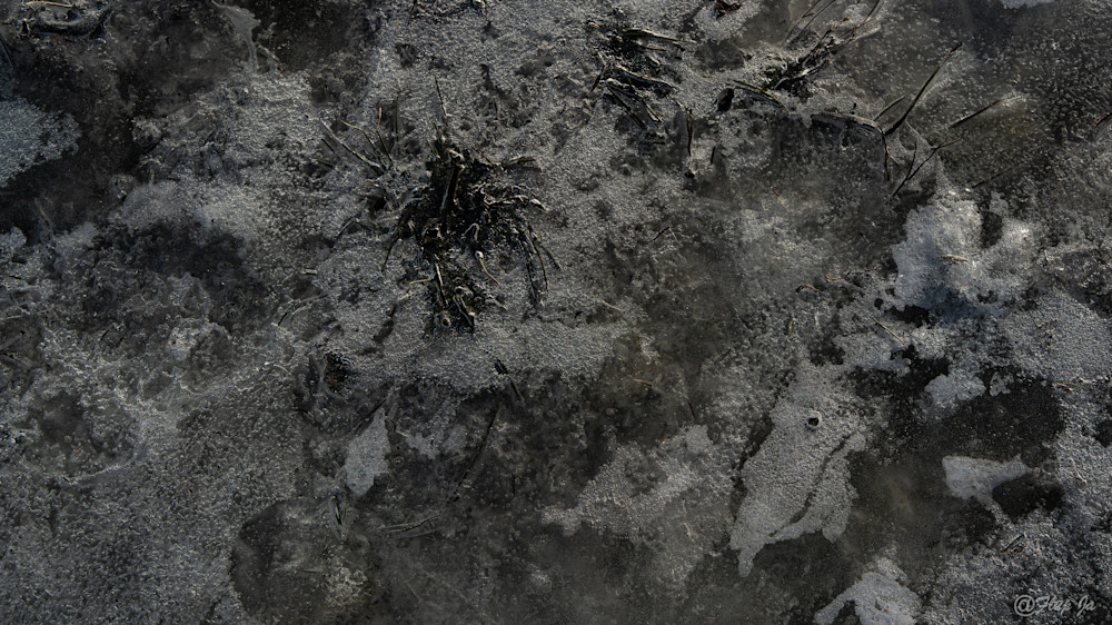 4 Iced Landscape.Jpg Photography Art | Flup Ja