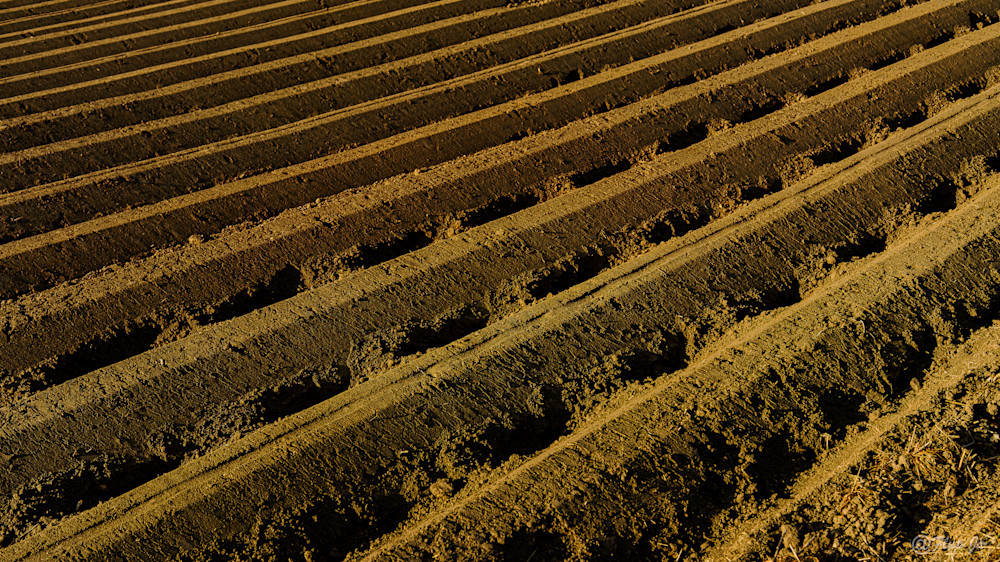 Spring Earthfields.Jpg Photography Art | Flup Ja