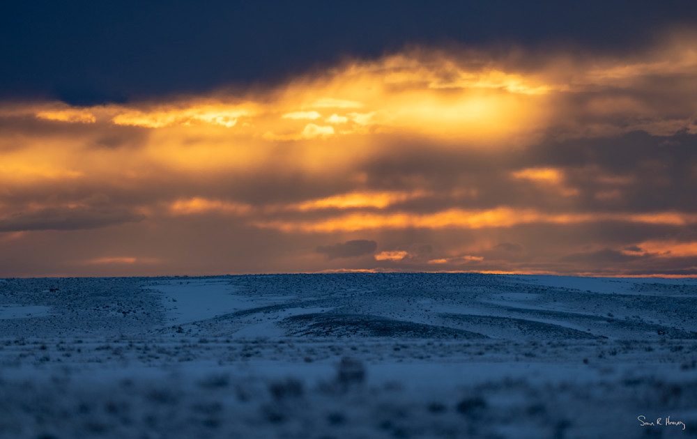 Heavey Dsf8671.Jpg Photography Art | Sean R. Heavey