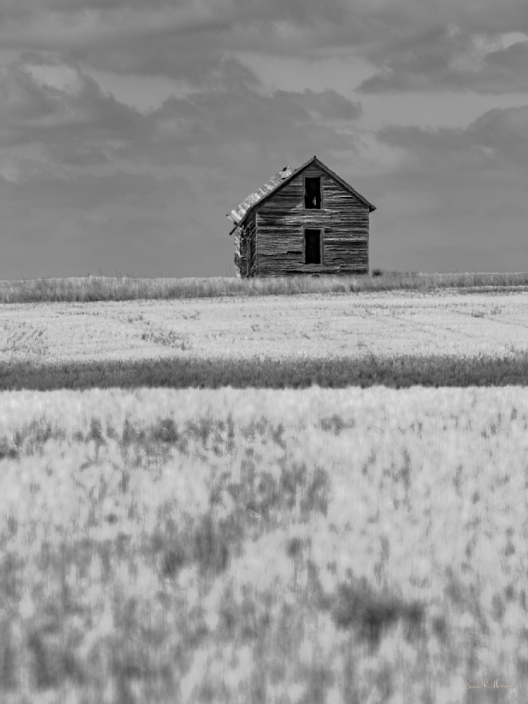 Heavey Dsf5513.Jpg Photography Art | Sean R. Heavey