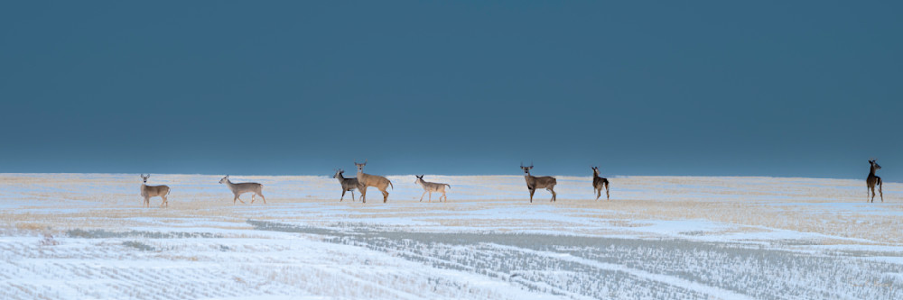 Heavey Dsf8621.Jpg Photography Art | Sean R. Heavey