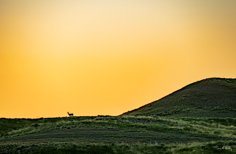 Heavey 5280203.Jpg Photography Art | Sean R. Heavey