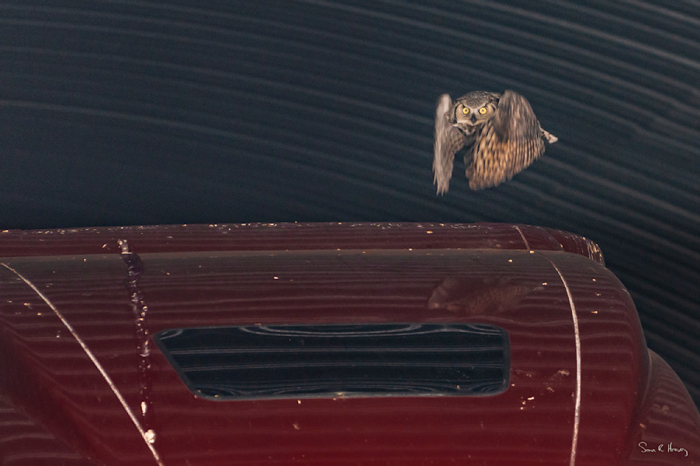 Heavey A736498.Jpg Photography Art | Sean R. Heavey