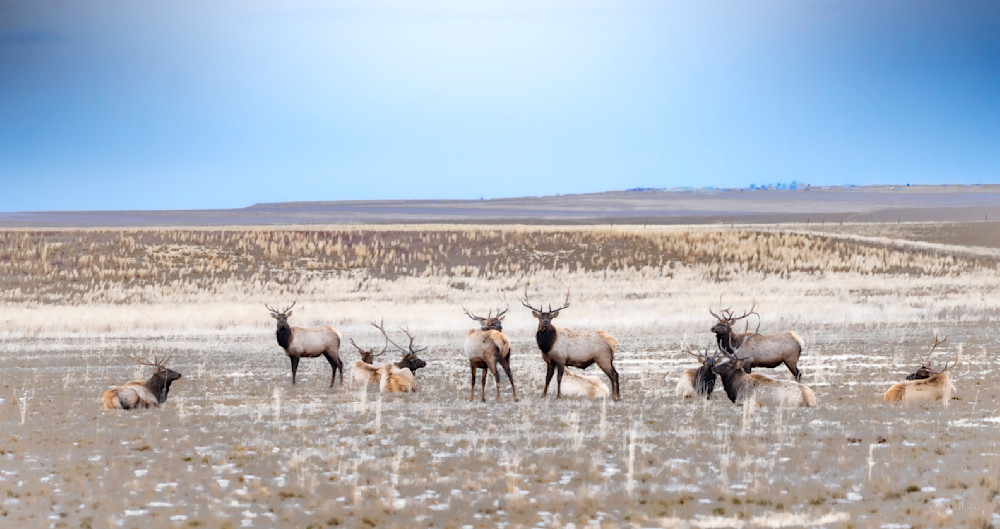 Heavey A737999.Jpg Photography Art | Sean R. Heavey