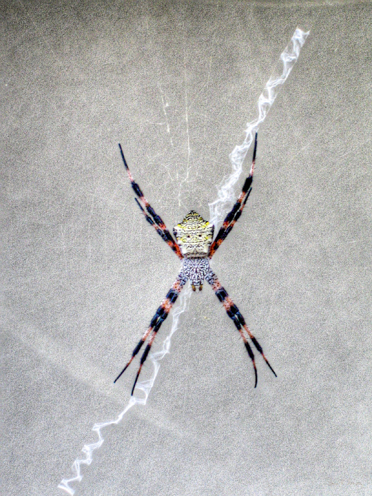 Heavey2006 02  0134.Jpg Photography Art | Sean R. Heavey