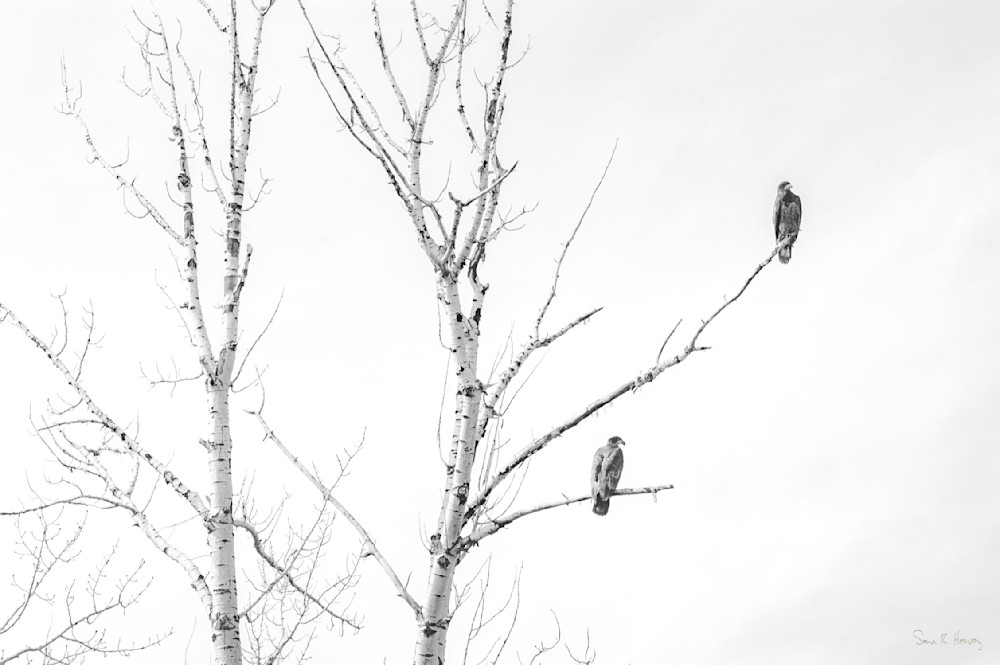 Heavey2006 04  Dsc 1488.Jpg Photography Art | Sean R. Heavey