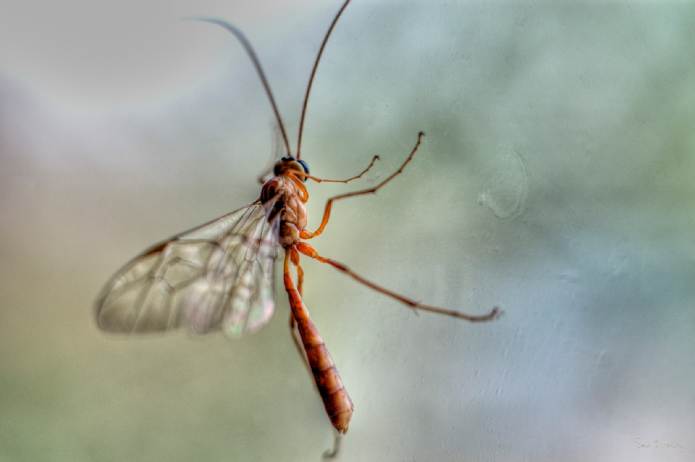 Heavey2007 05 19  Dsc 9929.Jpg Photography Art | Sean R. Heavey