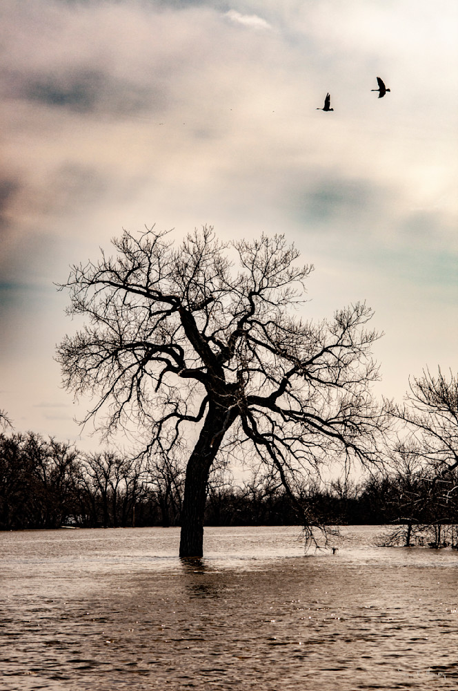 Heavey2011 04 19 Dsc4044.Jpg Photography Art | Sean R. Heavey