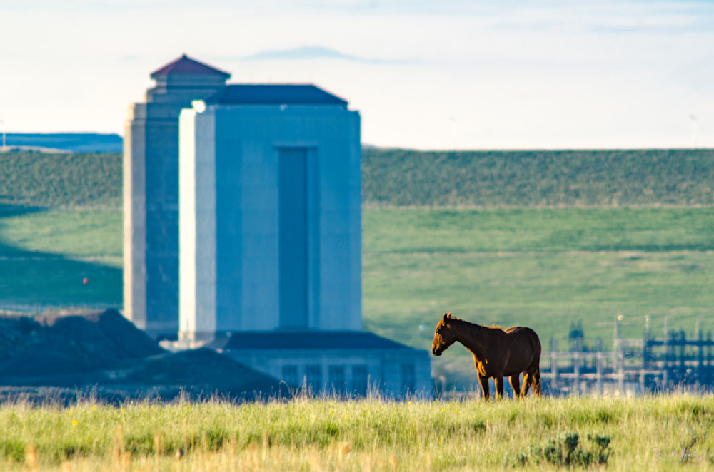 Heavey2012 05 25 Srh5460.Jpg Photography Art | Sean R. Heavey