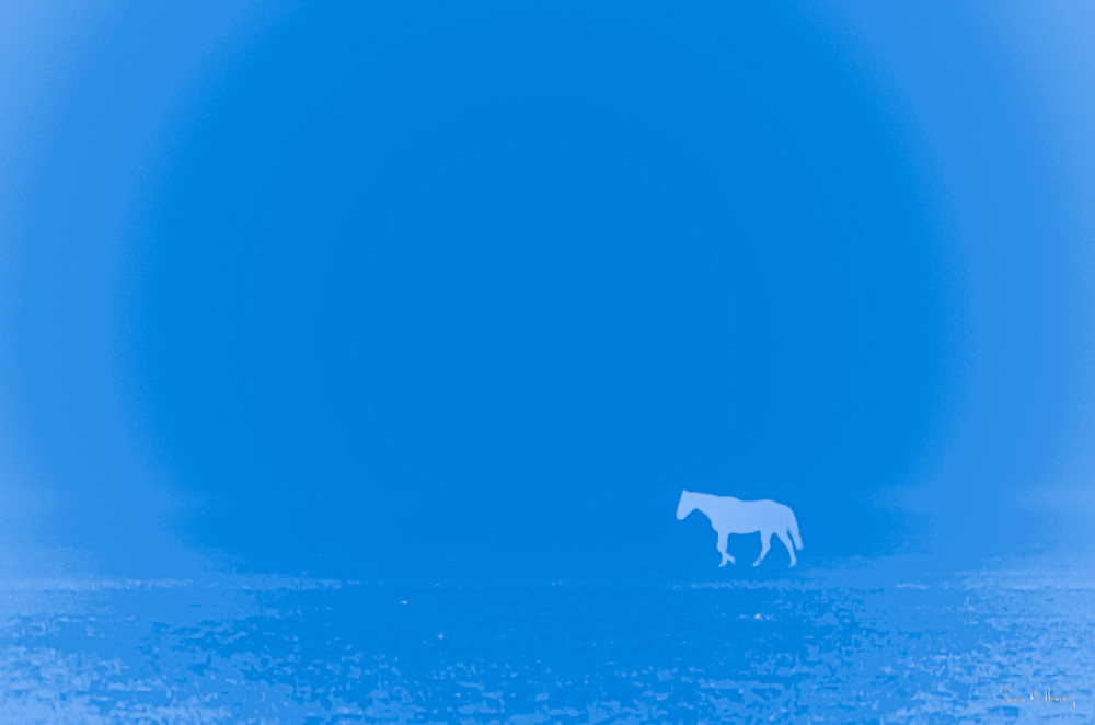 Heavey2012 12 14 Srh0363.Jpg Photography Art | Sean R. Heavey