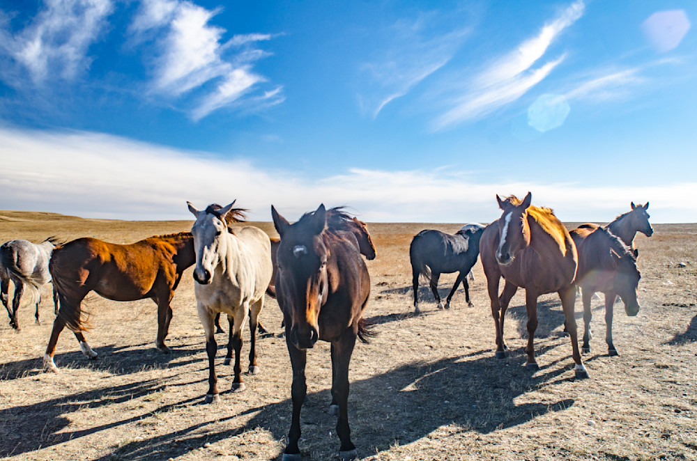Heavey2012 10 17 Srh9893.Jpg Photography Art | Sean R. Heavey