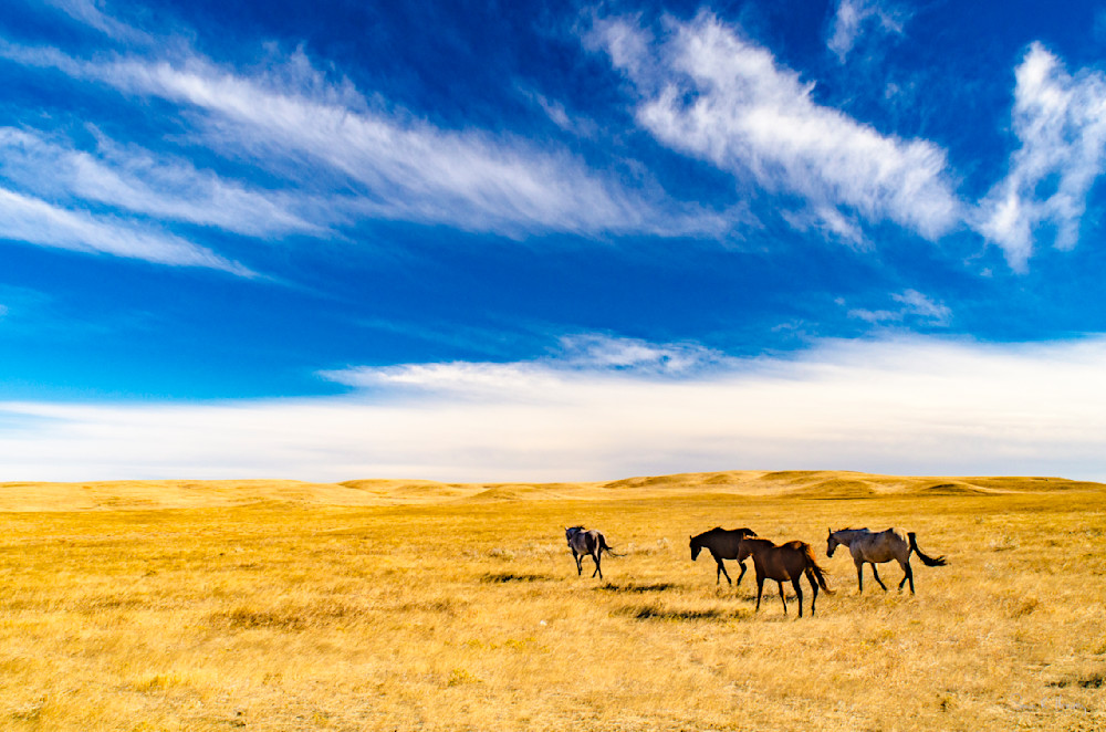 Heavey2012 10 17 Srh9904.Jpg Photography Art | Sean R. Heavey