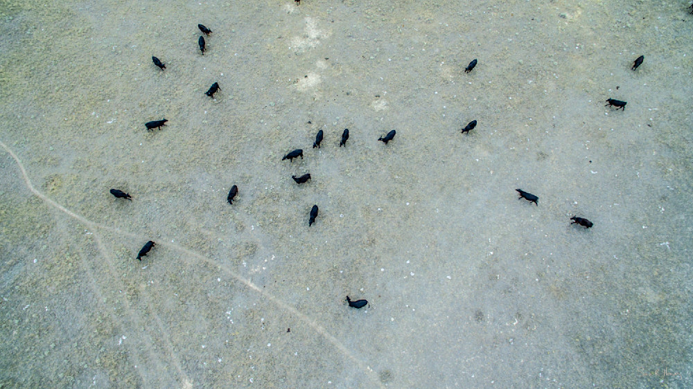 Heavey2015 08 20 Dji 0025.Jpg Photography Art | Sean R. Heavey