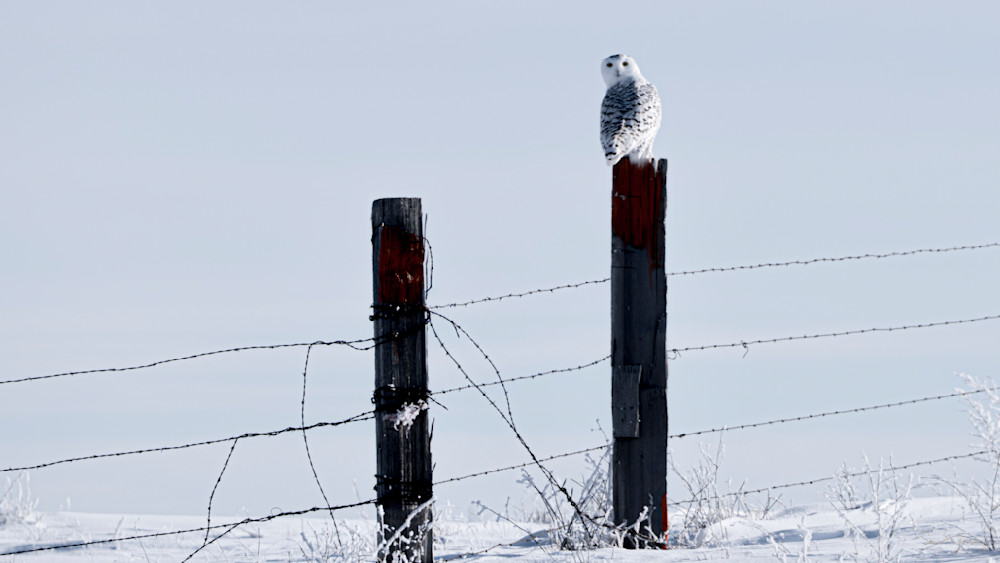 Heavey A7302484.Jpg Photography Art | Sean R. Heavey